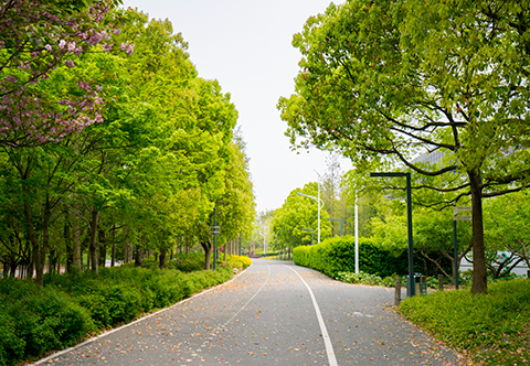 FUN88·乐天堂(中国游)官方网站